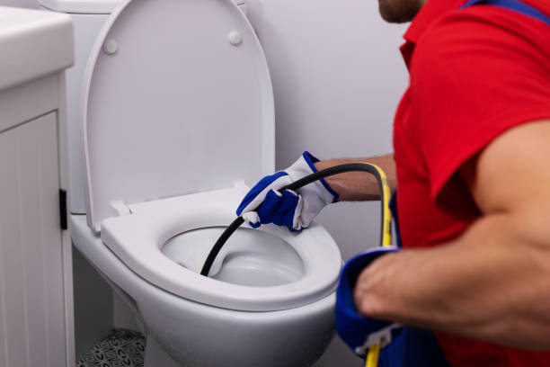 Best Clogged Drain Plumber  in Lyons, IL