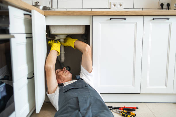 Best Same-Day Plumbing Service  in Lyons, IL